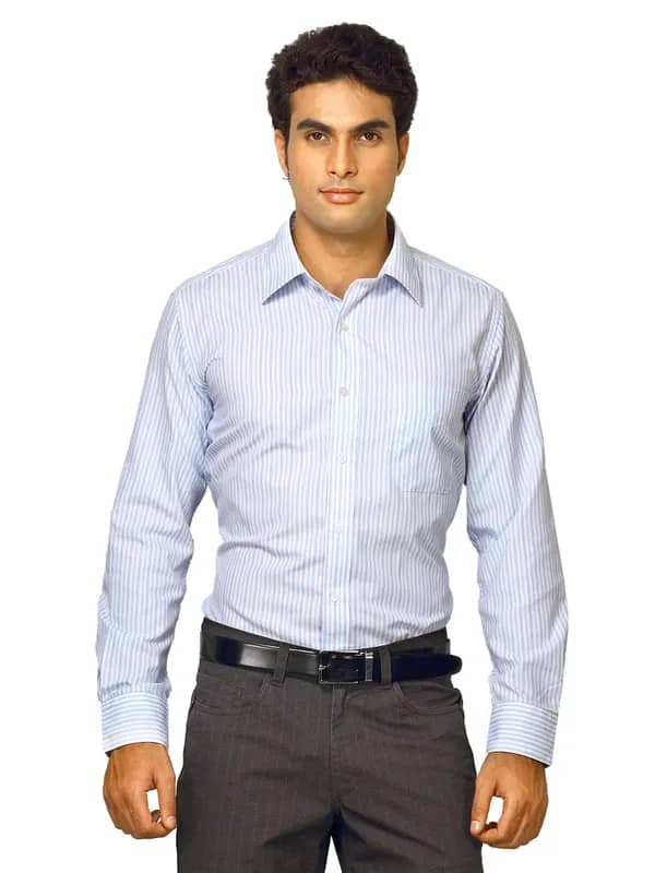 Mark Taylor Men Blue Striped Shirt