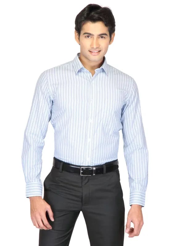 Mark Taylor Men Blue Striped Shirts