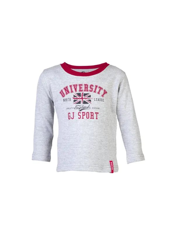 Gini and Jony Kids Boys Printed Grey Sweatshirts
