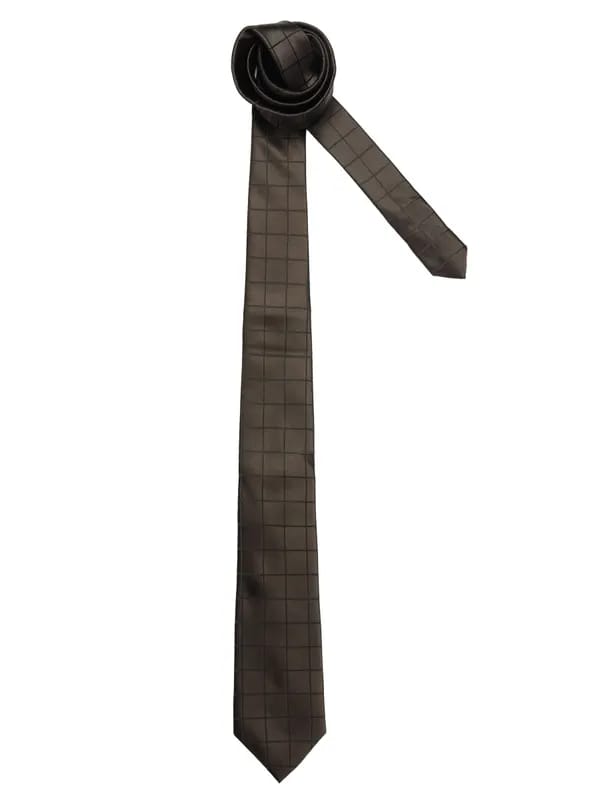 Turtle Men Check Brown Ties