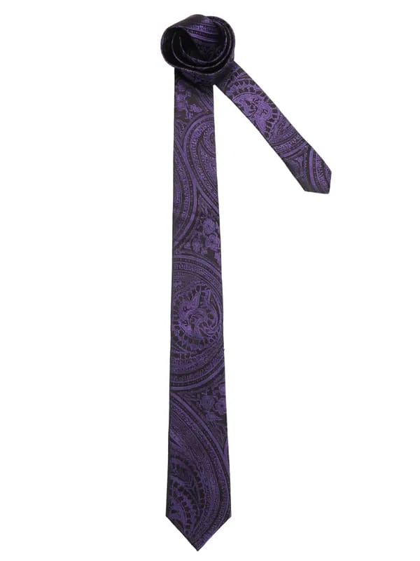 Turtle Men Solid Purple Ties