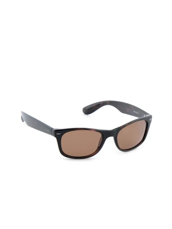 Image Men Classic Eyewear Brown Sunglasses