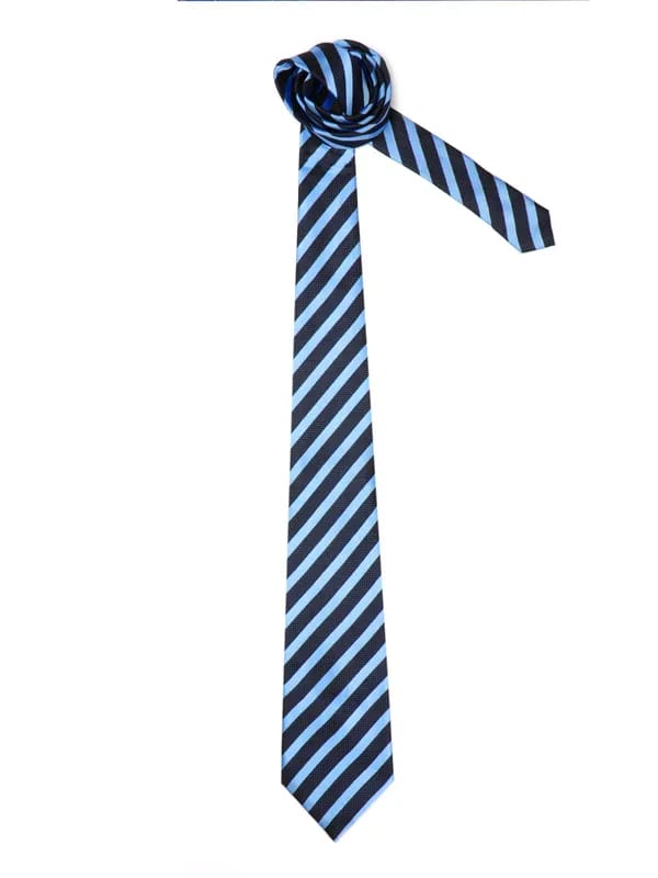 Peter England Men Elite Navy Blue Tie