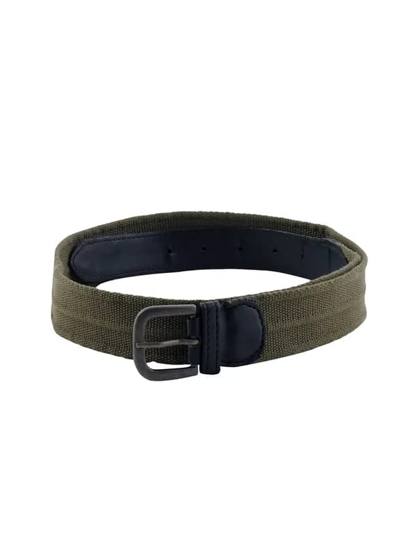 Peter England Men Casual Olive Belt