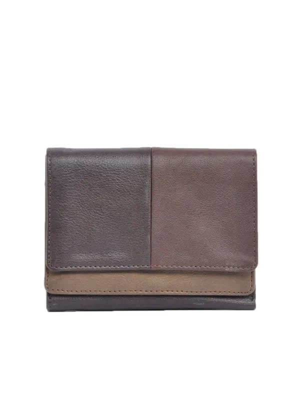 Baggit Women Humtum Taj Brown Wallet