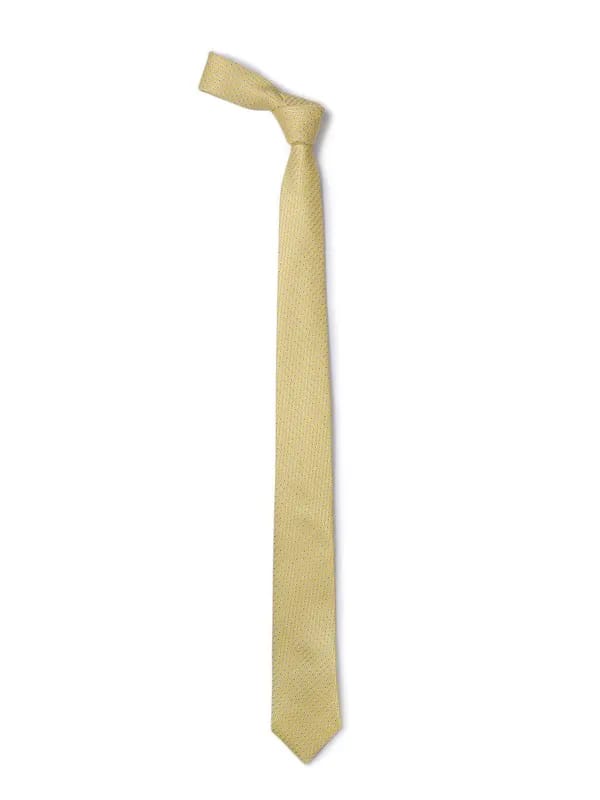 Reid & Taylor Men Gold Tie