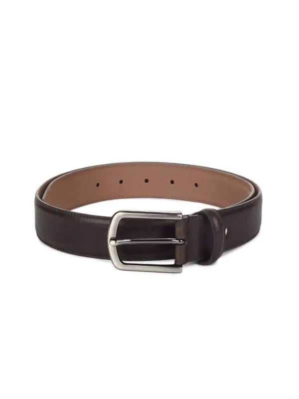 Peter England Men Brown Belt