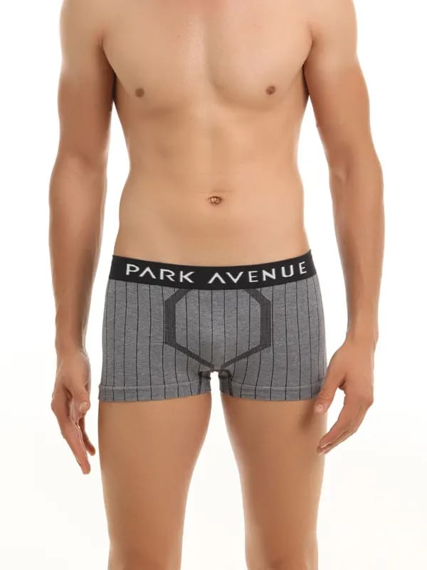 Park Avenue Men Grey & Black Brief