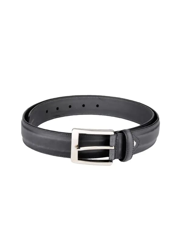 Peter England Men Black Belt