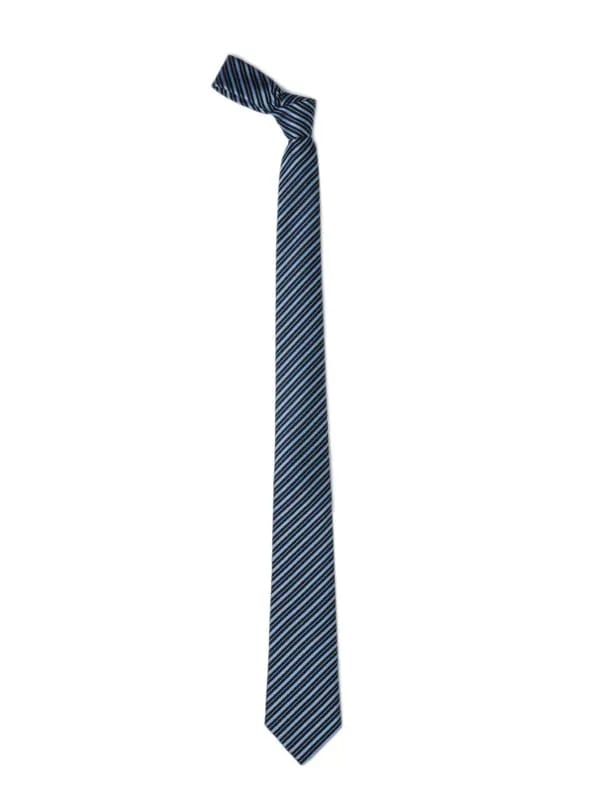 Park Avenue Men Blue Tie