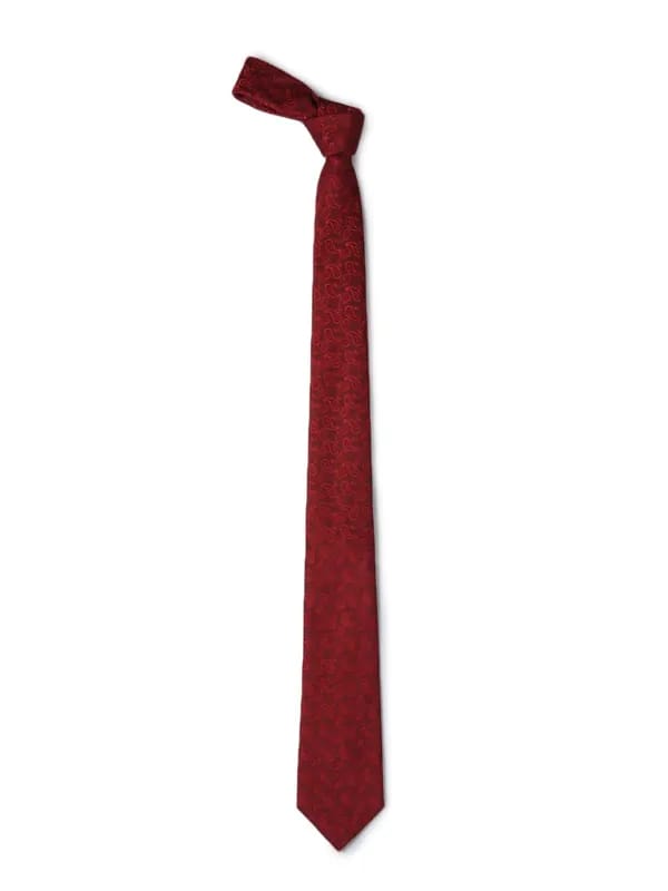 Park Avenue Men Maroon Tie