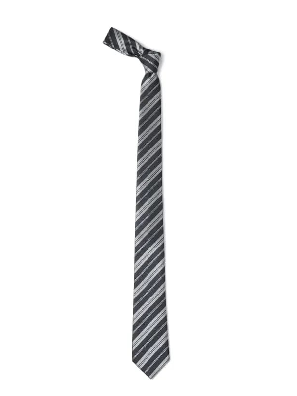 Park Avenue Men Grey Tie