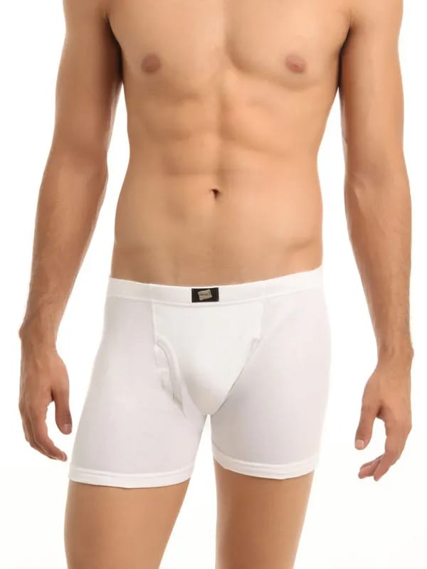 Hanes Men White Trunks