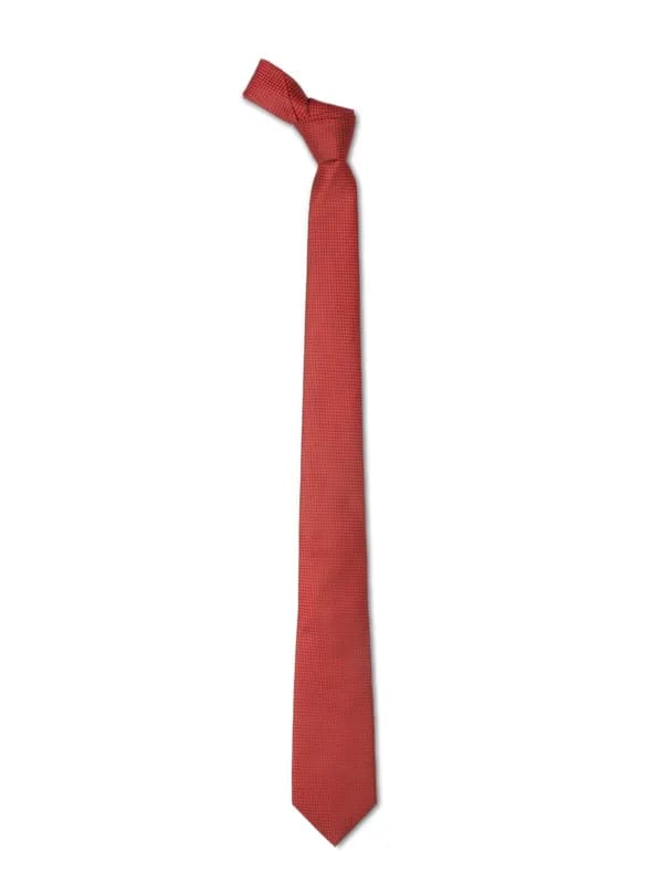 Park Avenue Men Red Tie