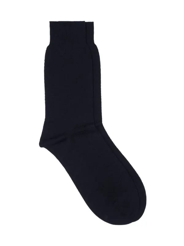 Raymond Men Navy Socks
