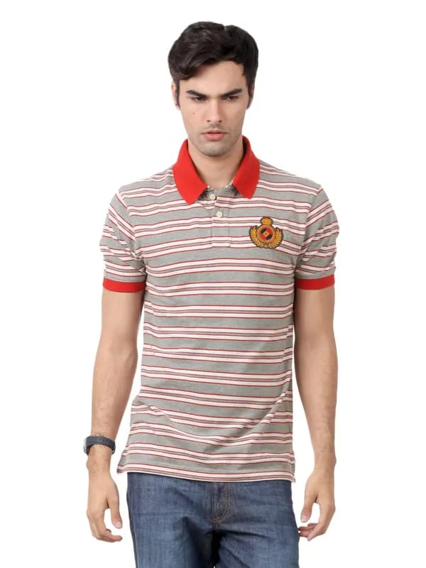 Myntra Men Grey & Red T-shirt