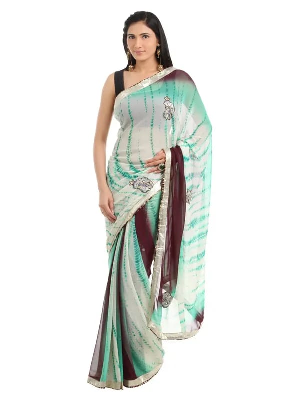 FNF Multi Coloured Sari
