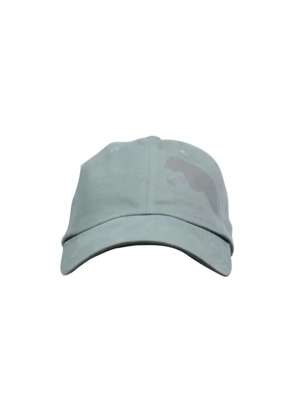 Puma Unisex Stripe Cat Steel Grey Cap