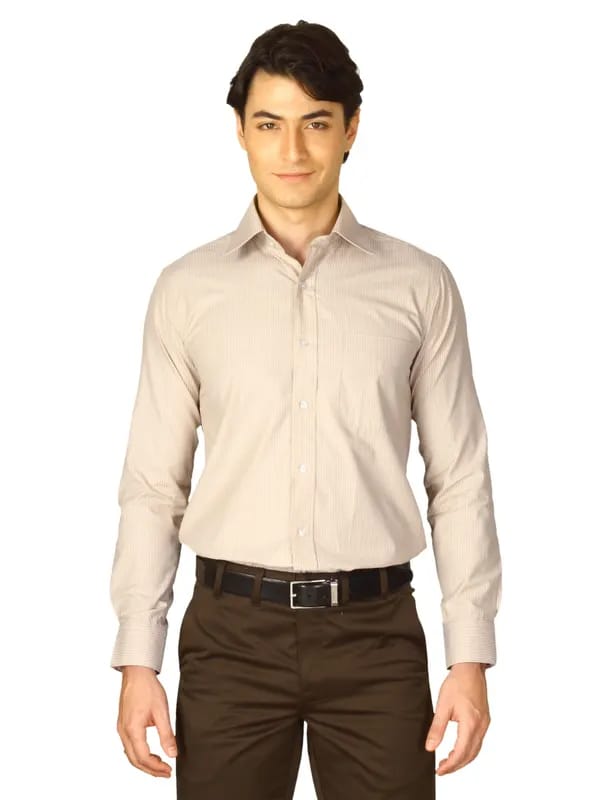 Mark Taylor Men Brown Striped Shirt